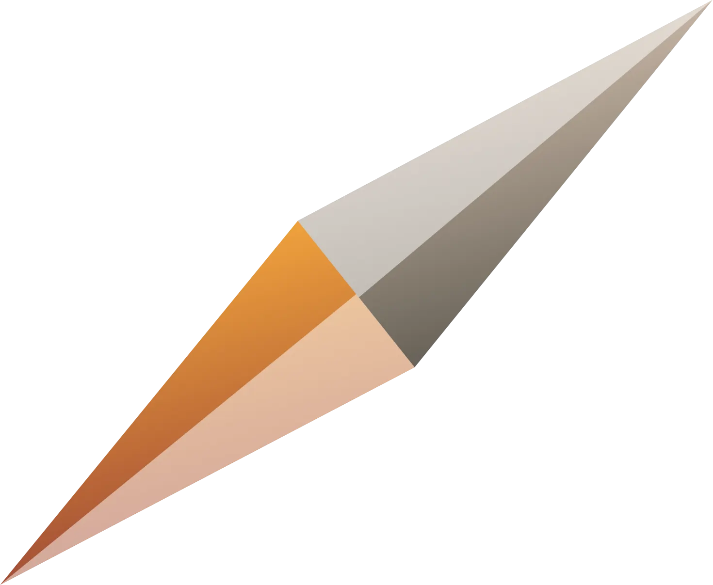 Needle