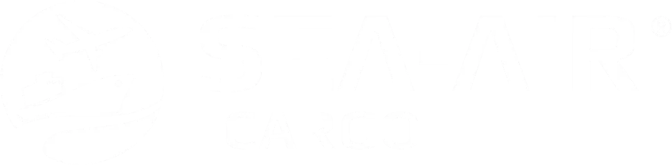 logo branco